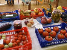 Výstava ovocia,zeleniny, kvetov, ručných prác a včelárskych produktov