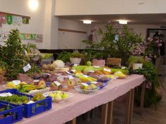 Výstava ovocia, zeleniny, kvetov a ručných prác 14. - 16. 09. 2012 